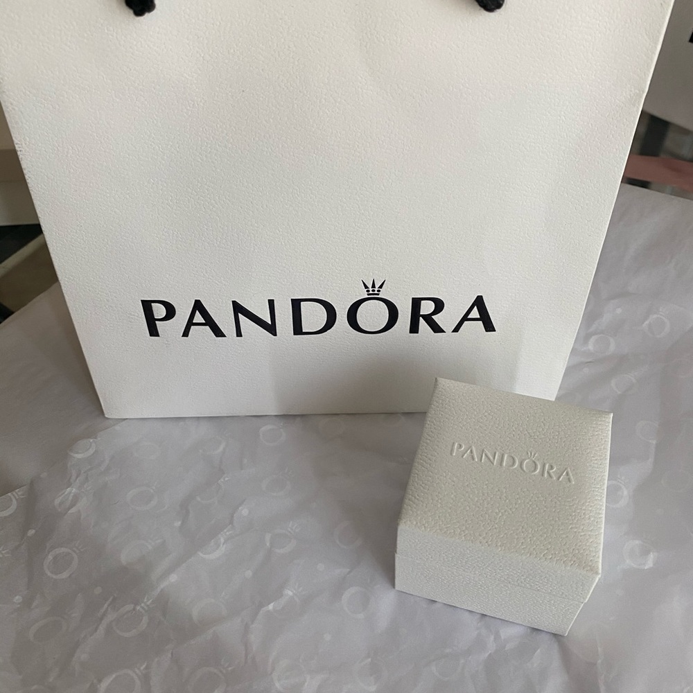 ❌SOLD❌ Pandora Charms